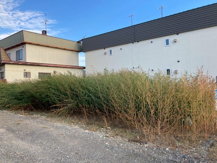 【価格改定】西１６条南４丁目　売土地 内観