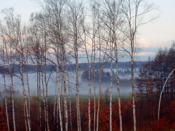 以平売土地 内観