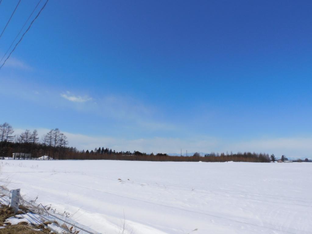 更別村字上更別　売土地（約8,912坪） 内観