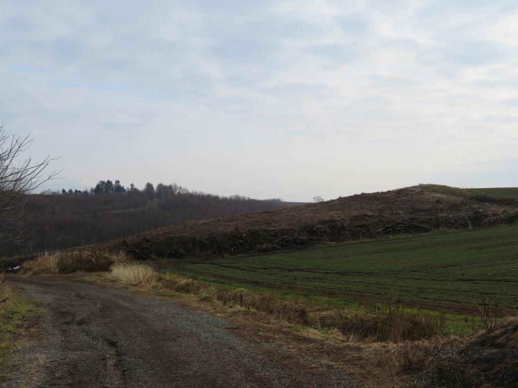 河西郡芽室町平和西19線19 内観