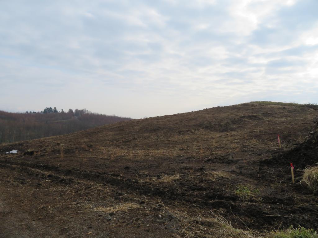 河西郡芽室町平和西19線19 内観
