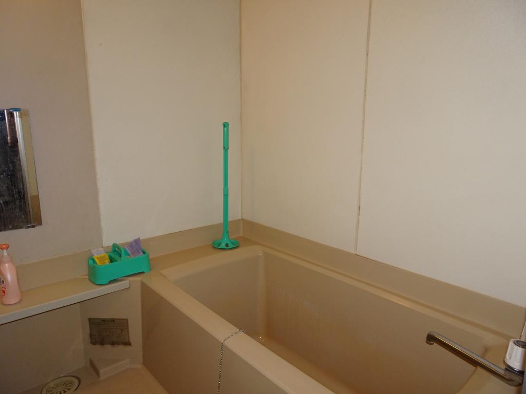 中札内平家中古建 内観