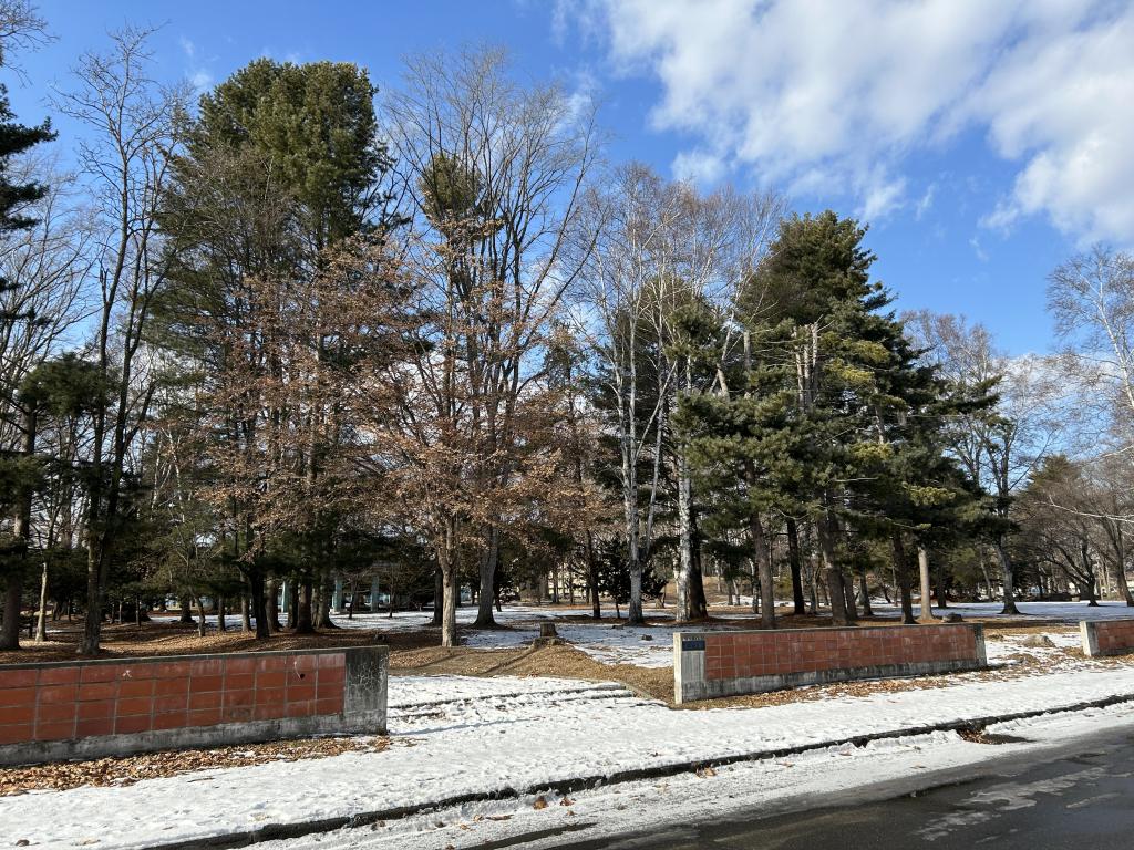 LIZ大空 MODEL 周辺