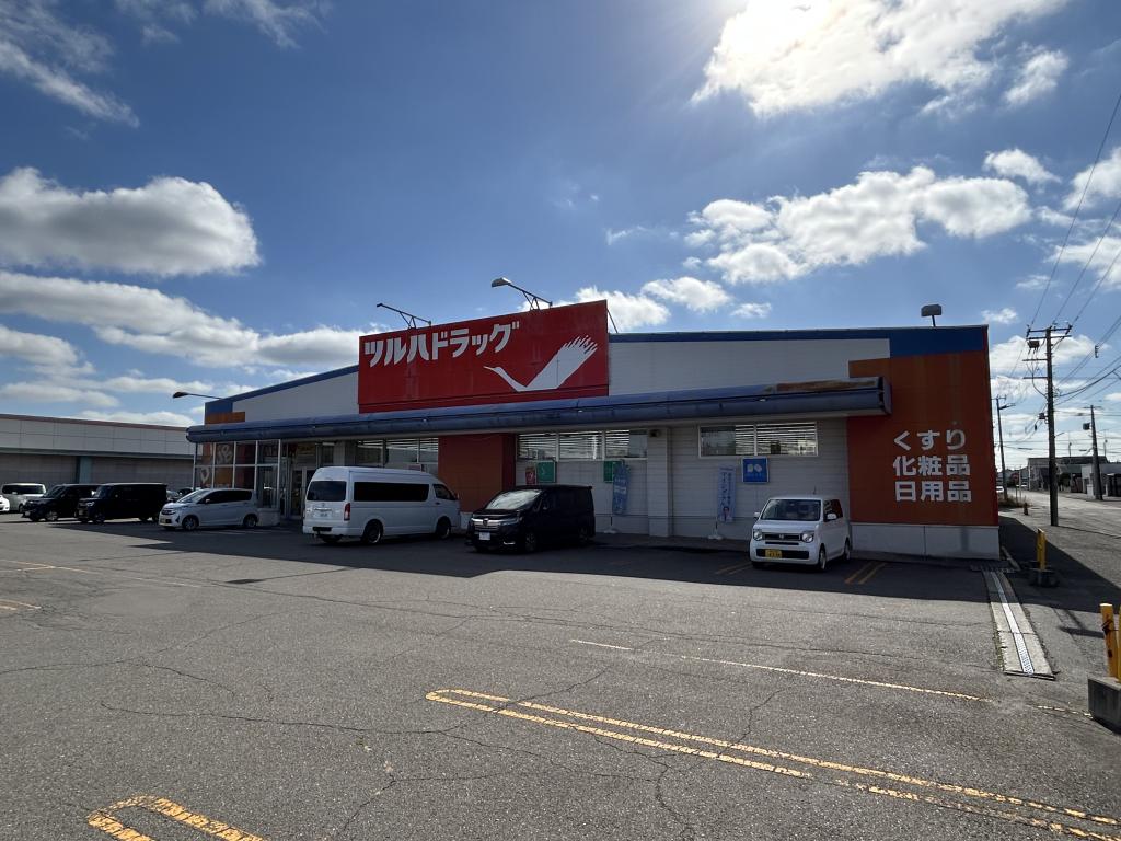 AS弥生通 MODEL 周辺