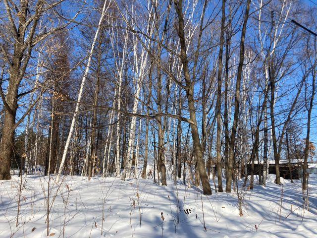 帯広市川西町３４９番４３【南東角地！敷地面積約１００坪！】 内観