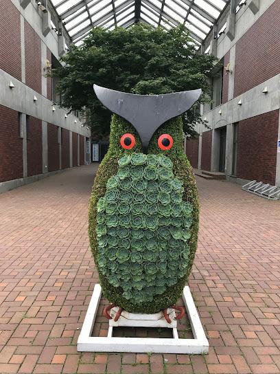 鹿追町鹿追基線　売土地① 周辺