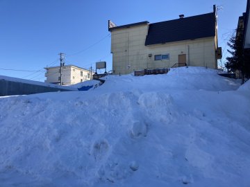 西１６条南６丁目【若葉小学校・第八中学校まで徒歩約８分！】 内観