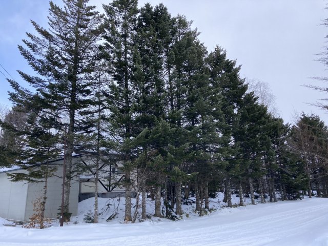 新得町字上佐幌西２線【お洒落なお家でスローライフ！】 内観