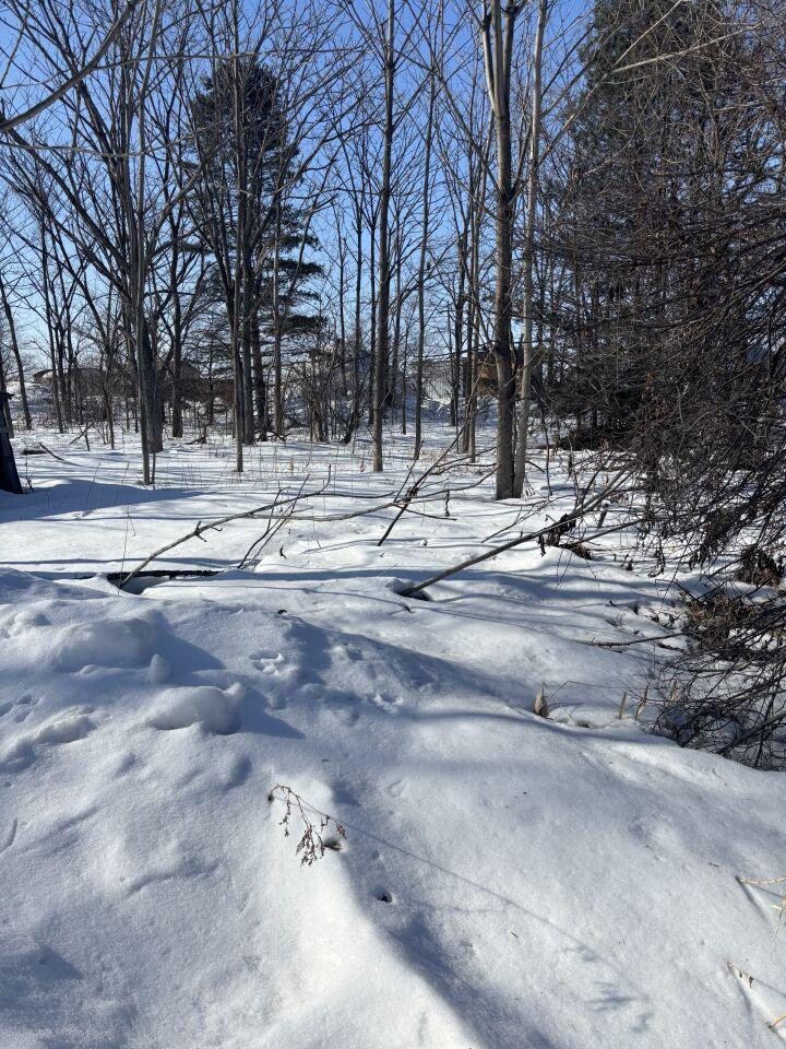 【写真追加】音更町木野西通１９丁目　売土地 内観