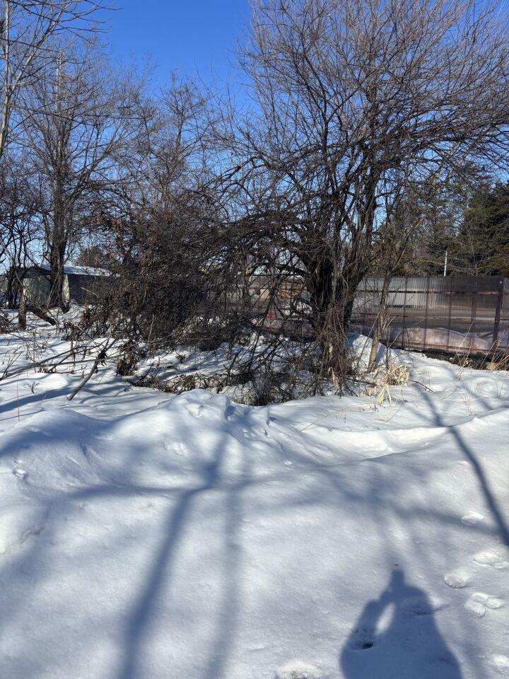 【写真追加】音更町木野西通１９丁目　売土地 内観