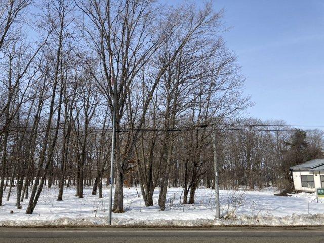 中札内村元大正基線【中札内エリア☆約１８７４坪の広大な敷地！】 内観