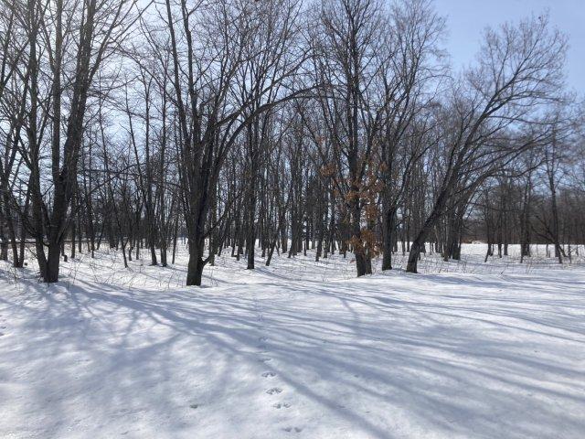 中札内村元大正基線【中札内エリア☆約１８７４坪の広大な敷地！】 内観