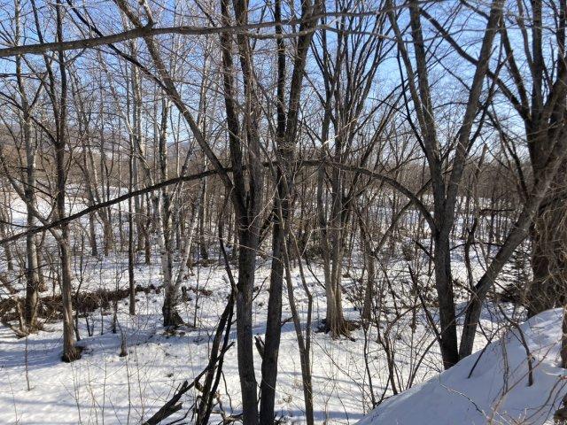 足寄町南７条２丁目【約８０４坪の広大な敷地！！】 内観