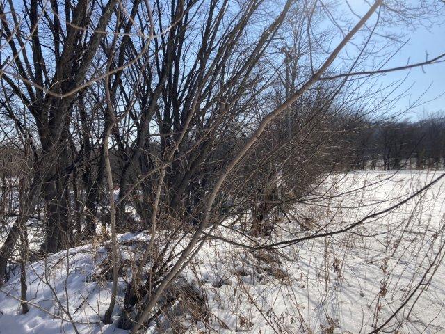 足寄町南７条２丁目【約８０４坪の広大な敷地！！】 内観