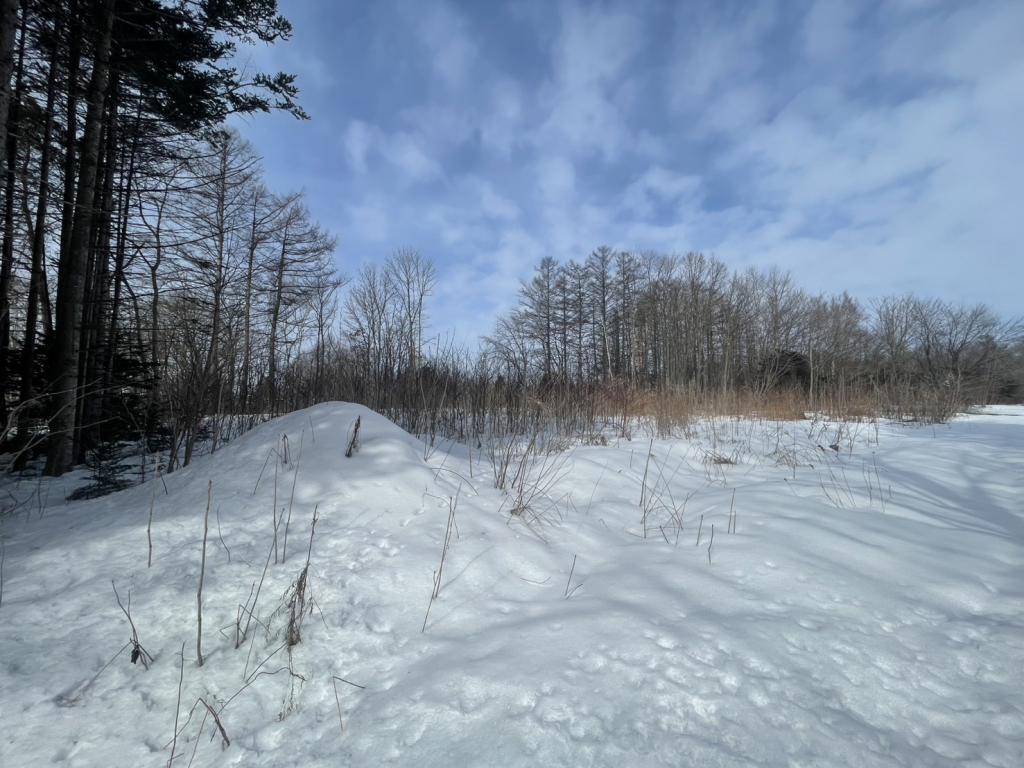 音更町宝来本通８＿土地 内観