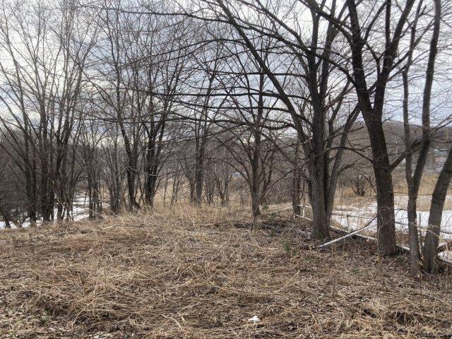 足寄町南７条２丁目【約７５４坪の広大な敷地！！】 内観