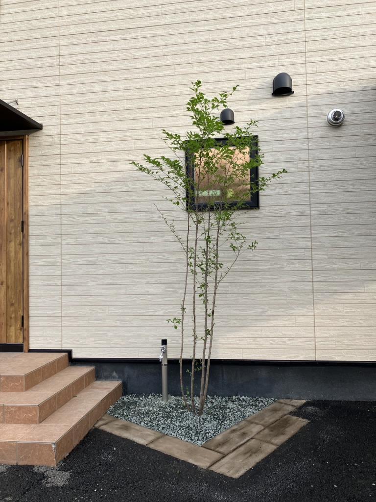 幕別町札内若草町　売家　札内南小区域　内見要予約 -  内観