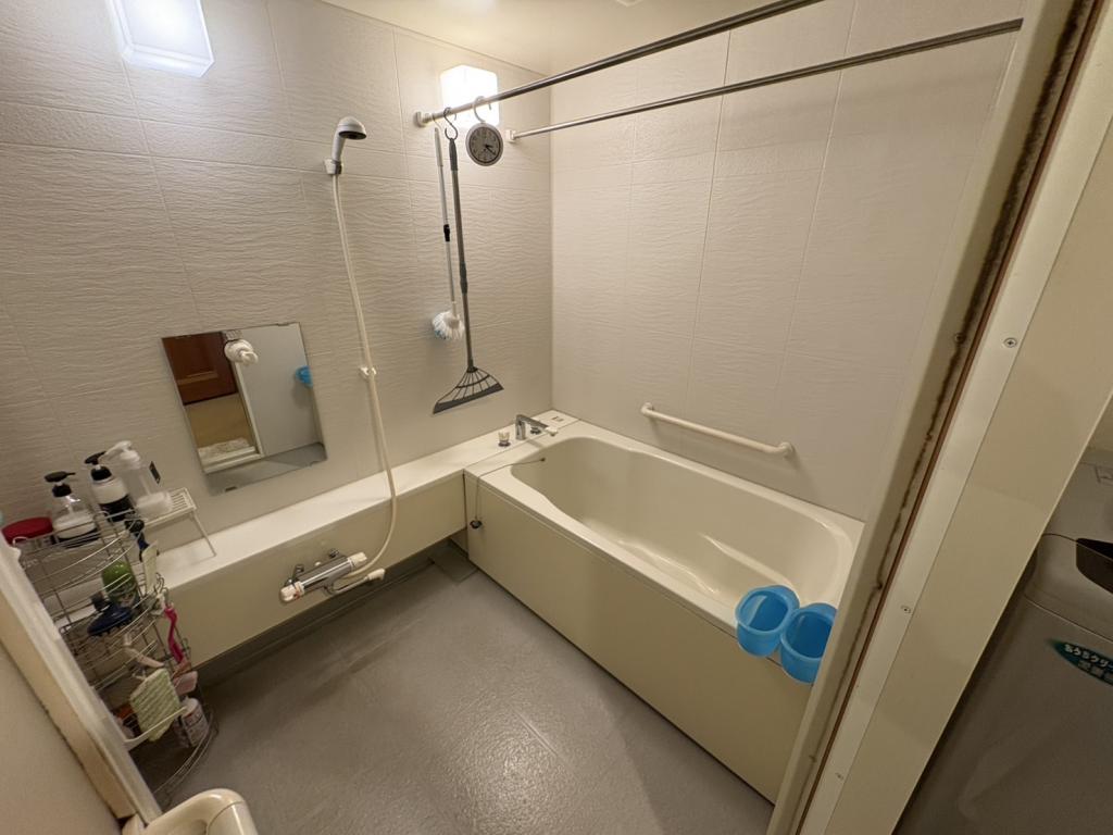 【価格改定】リブウェル大通　４１０号室 内観