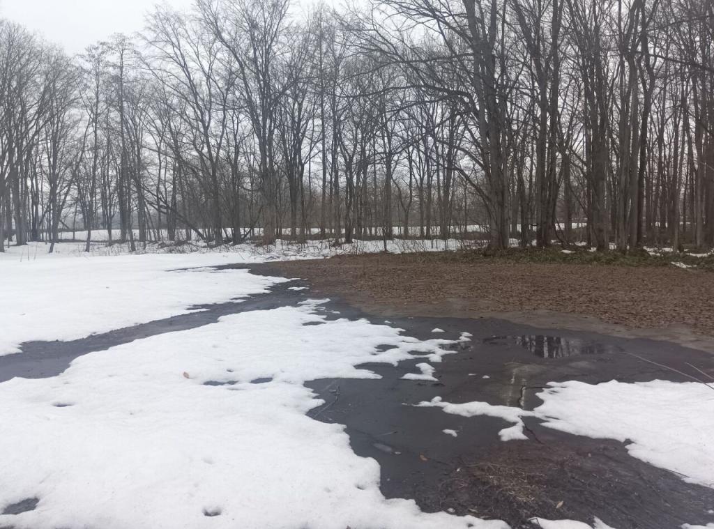 中札内村元大正基線　売土地 内観