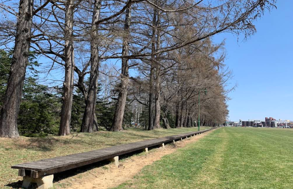 ３区画販売！グリーンパーク徒歩圏内！帯広市西７条南23丁目 間取り