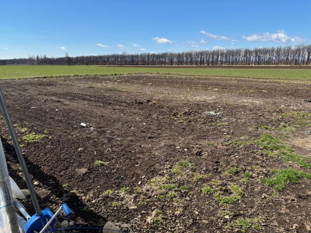 音更町字東和東一線　売物件 周辺