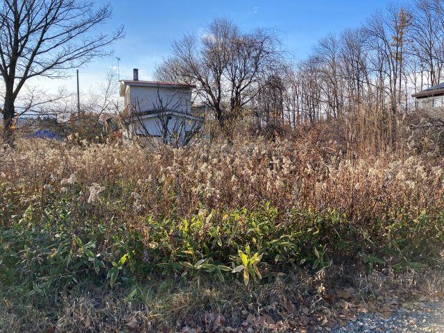 音更町大通２０丁目【開進地区につき建物建築可能！】 内観