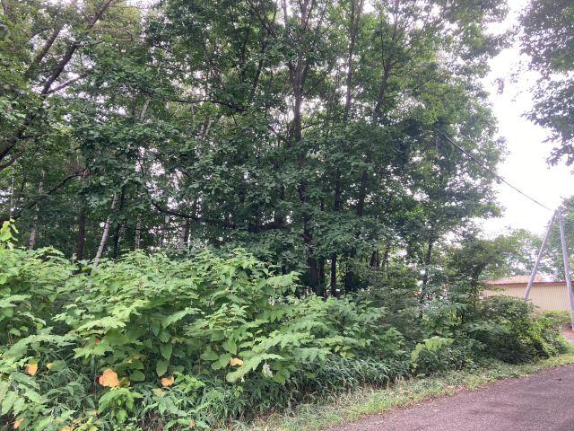 帯広市川西町３４９番４３【南東角地！敷地面積約１００坪！】 内観