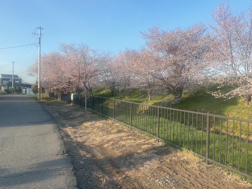 【セキスイハイム】柳町仲区II分譲住宅2号棟【未入居物件】  内観