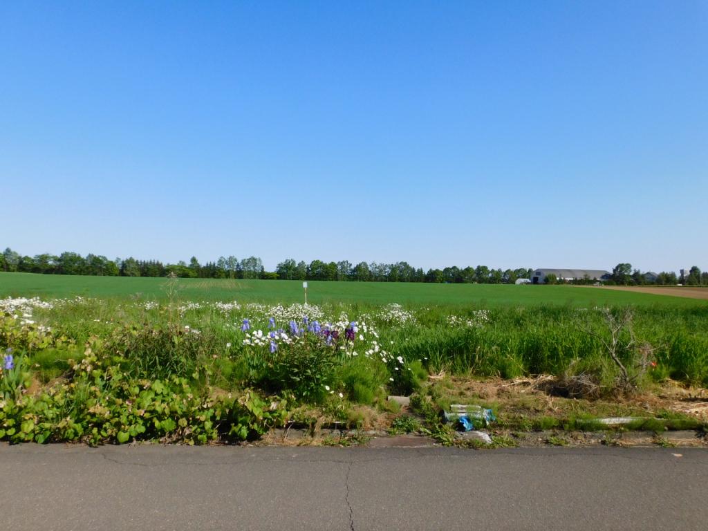 【価格改定】帯広市大空町5丁目　売土地（66.74坪）建築条件なし　※解体更地渡し 内観