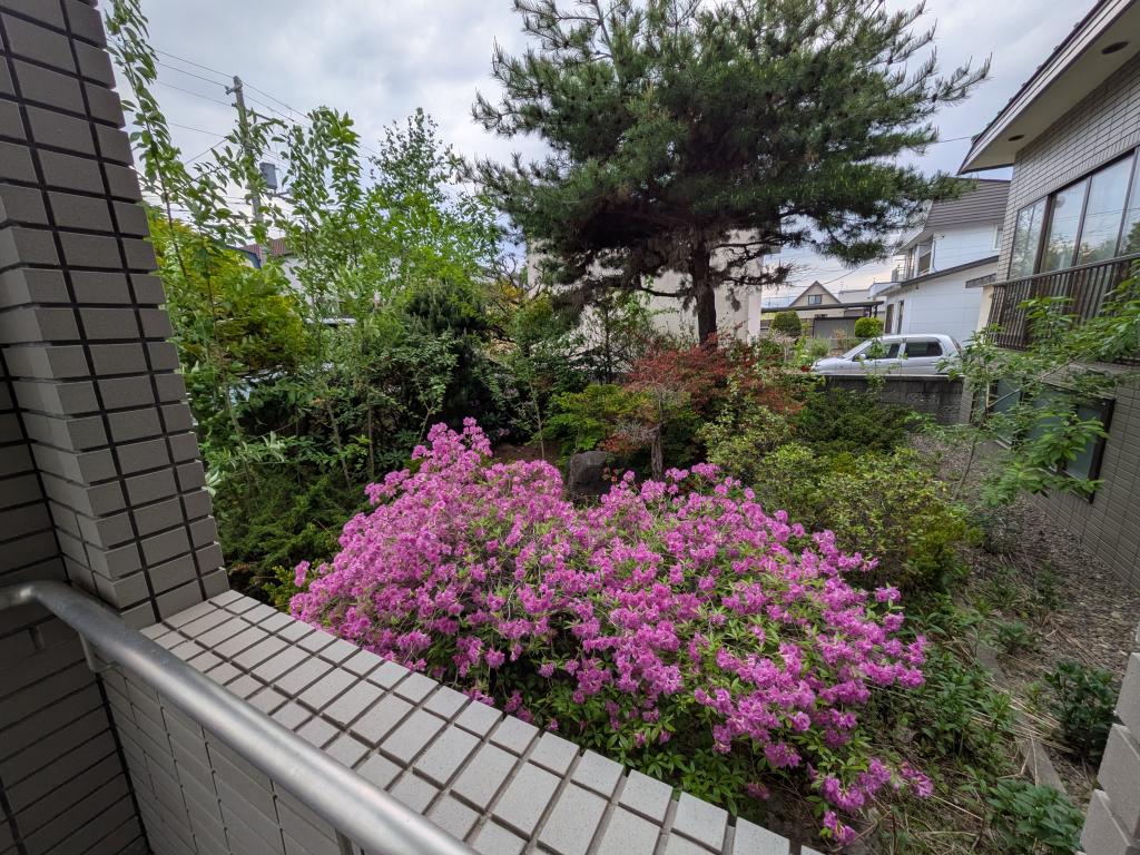 帯広市西20条南3丁目13番地11（住居表示4-8）｜9LDK地下室付き大型住宅 内観