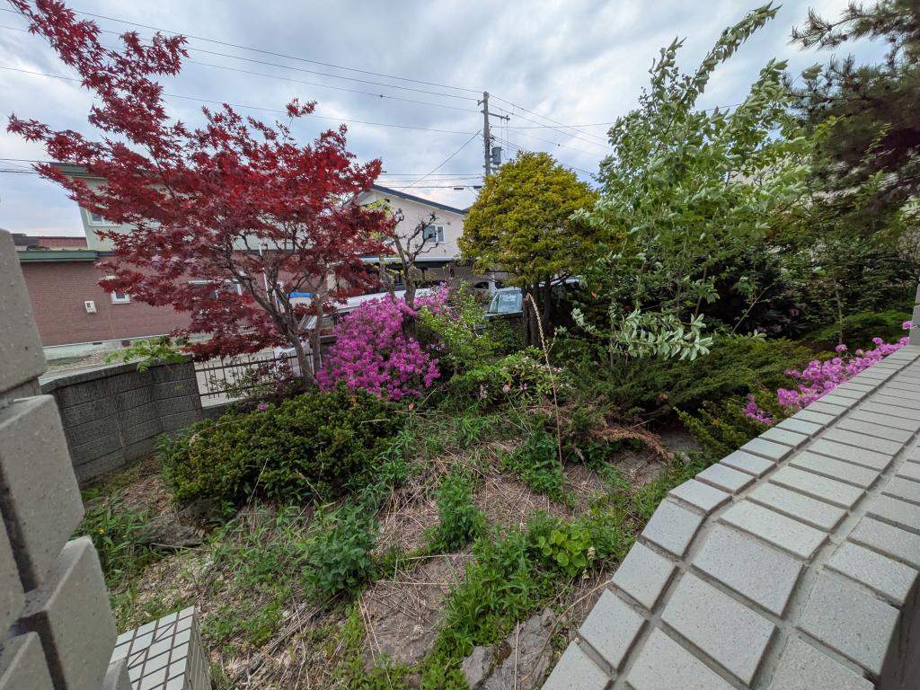 帯広市西20条南3丁目13番地11（住居表示4-8）｜9LDK地下室付き大型住宅 内観