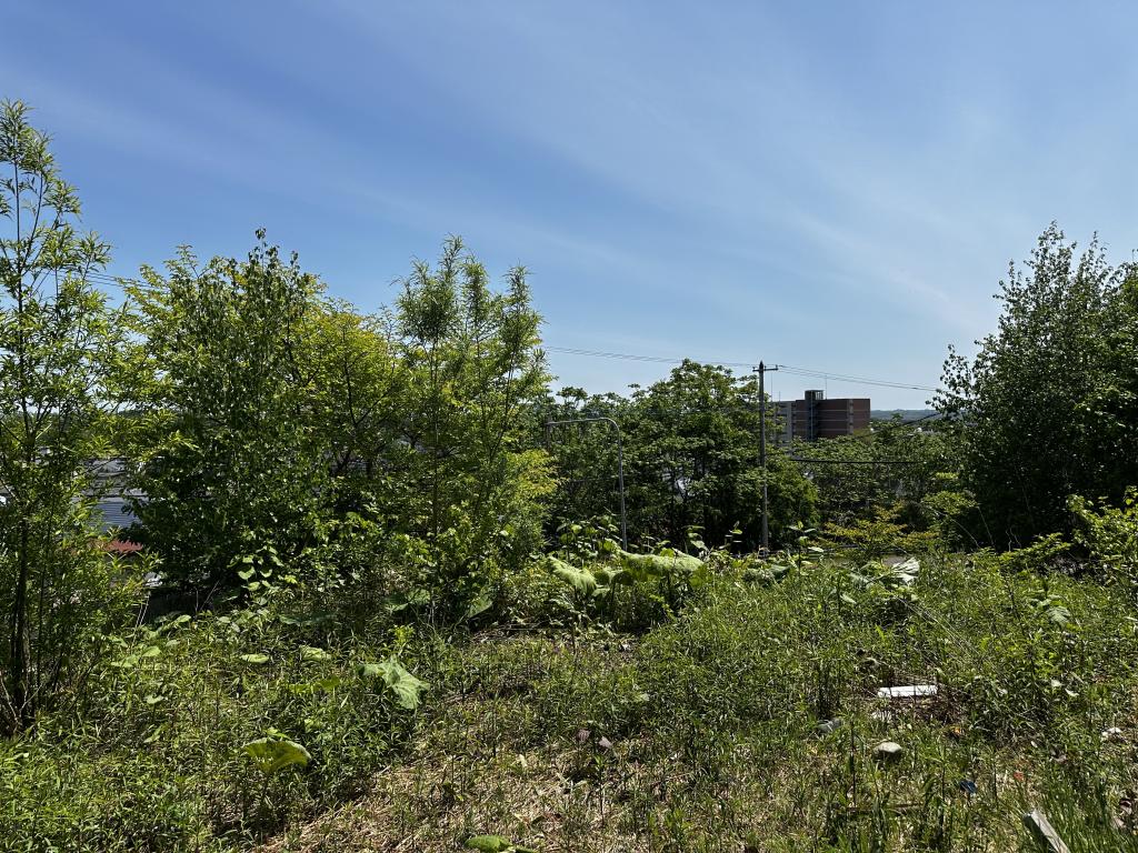 音更町共栄台東10丁目　売土地　※西隣の土地建物も売出し中 内観