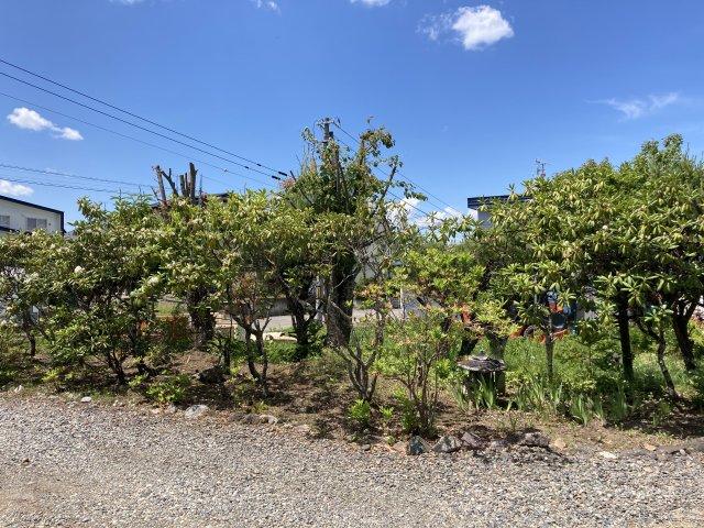 本別町柏木町【南西道路付き！敷地約１６６坪の中古住宅！】 内観