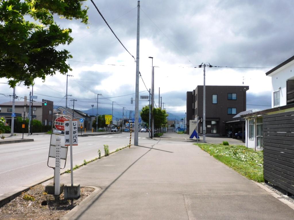 芽室町東6条2丁目　売土地（約88坪）建築条件なし　※現状渡し 内観