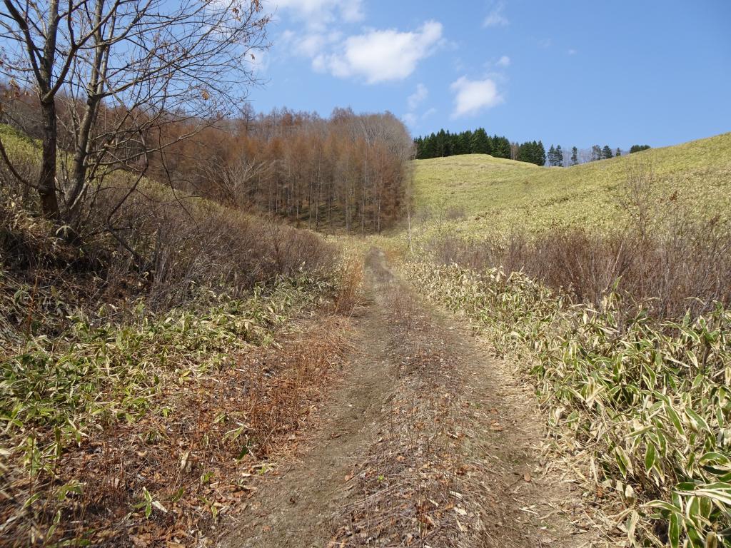 浦幌町帯富(山林)国道に接道、約46町歩の南斜面 内観