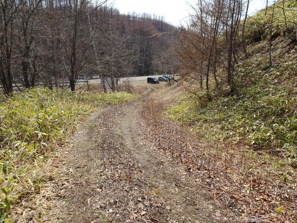 浦幌町帯富(山林)国道に接道、約46町歩の南斜面 内観