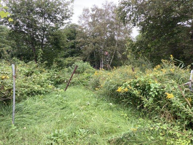 音更町木野西通１９【事業用地としての用途多様です♪】 内観