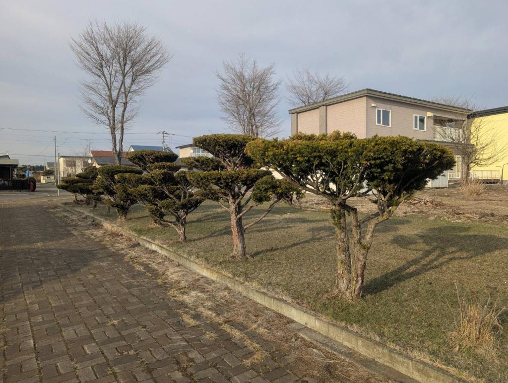 【売土地】士幌町本通西 ☆利便性・陽当り良好の角地、士幌小学校目の前！☆  内観