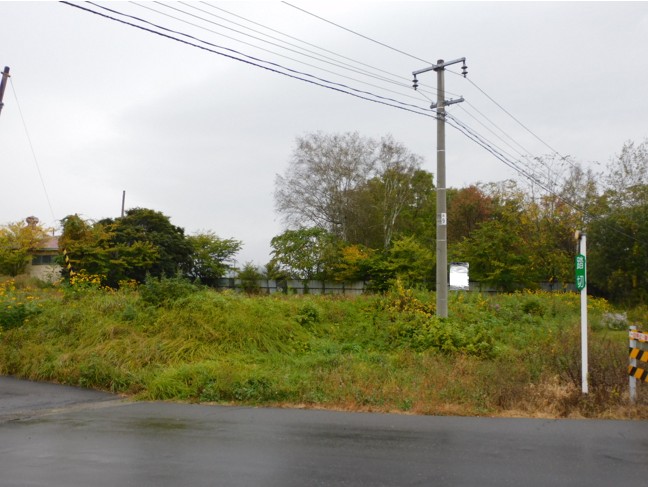 清水町南1条西1丁目　売土地（約398.3坪）建築条件なし 内観