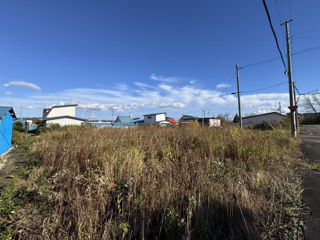 上川郡新得町西3条南4丁目　土地 内観