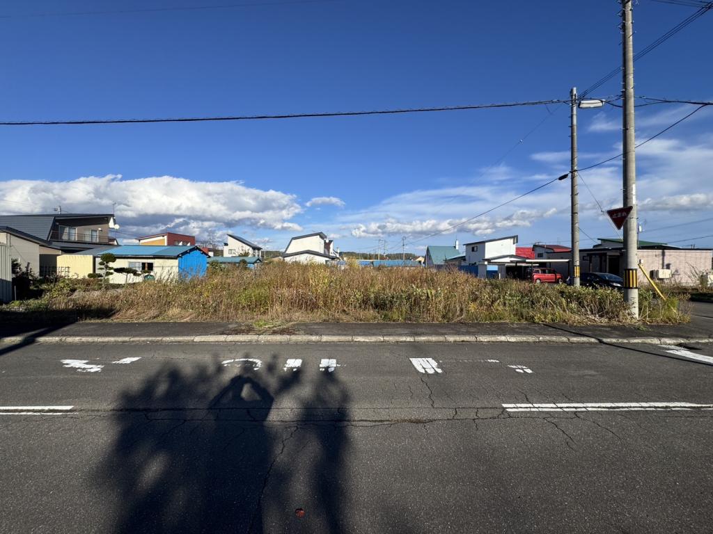 上川郡新得町西3条南4丁目　土地 内観