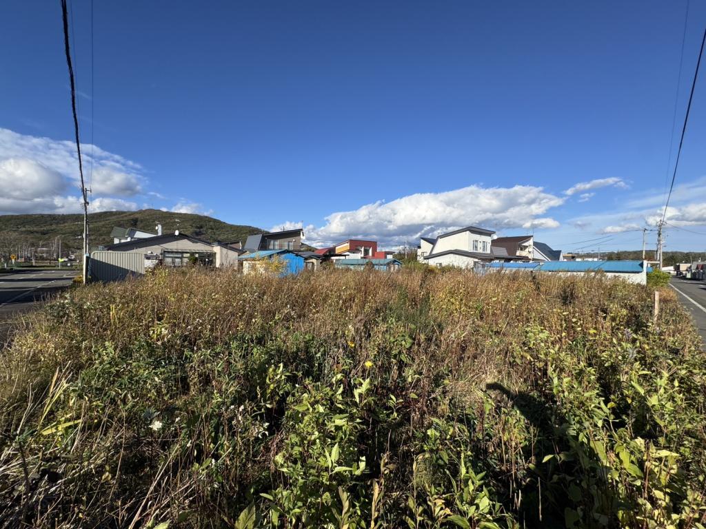 上川郡新得町西3条南4丁目　土地 内観